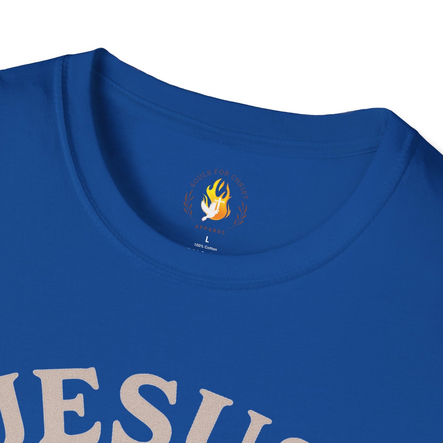 Anchored in Jesus T-Shirt